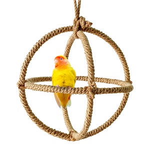 Natural Bird Swing, Parrot Hanging Swing, 3 Ring Parrot Orbit Swing, Parrot Swing Perch, Bird Ring Swing, Bird Toys, Bird Cage Accessories