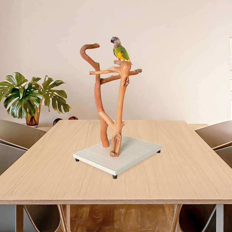 Parrot Stand, Natural Bird Perches, Parrot Perches, Parrot Playstand