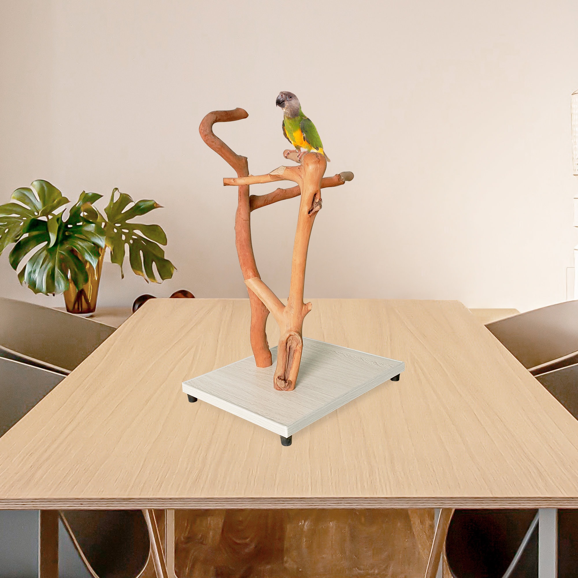 Parrot Stand, Natural Bird Perches, Parrot Perches, Parrot Playstand, Natural Bird Tree, Bird