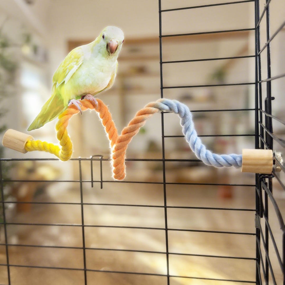 Parrot Climbing Rope Swing, Bird Cage Toy - Etsy