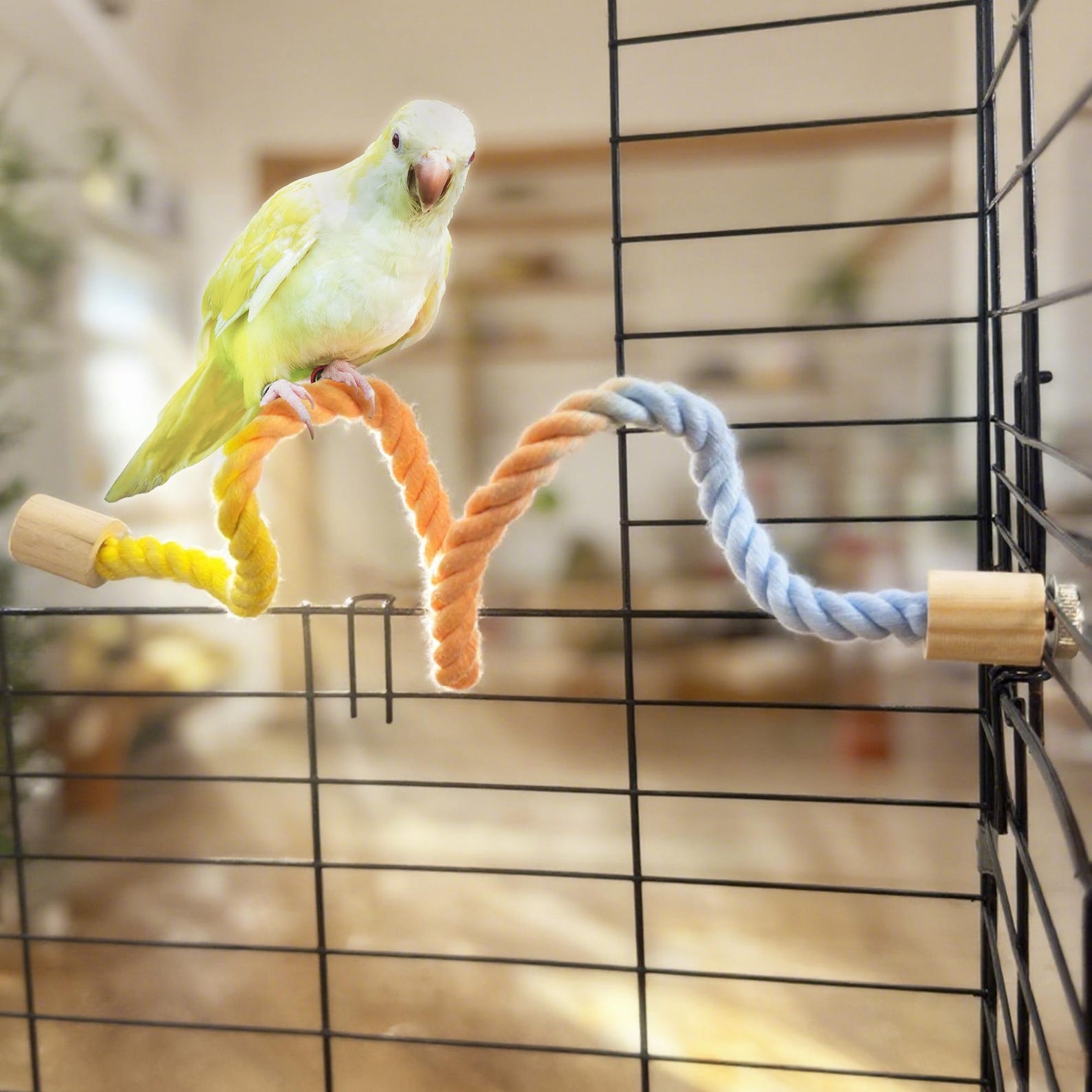 Parrot Climbing Rope Swing, Bird Cage Toy - Etsy