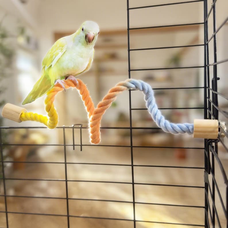 Parrot Climbing Rope Swing, Bird Cage Toy - Etsy