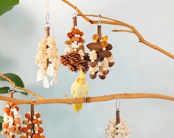 Natural Parrot Foraging Toy Set, Bird Enrichment, Beak Trimming