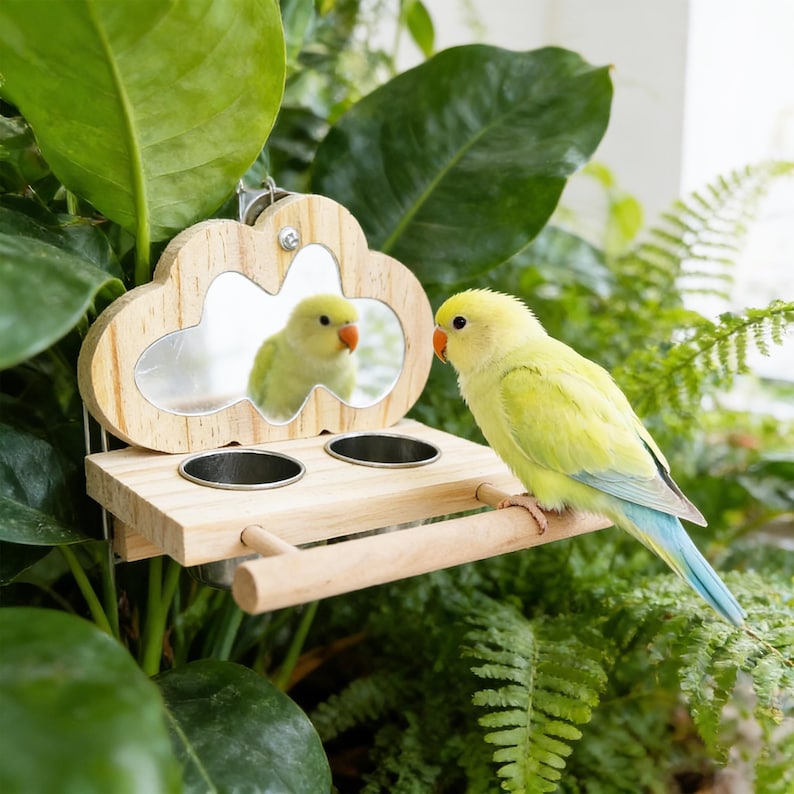 Bird Cage Mirror Feeder Stand | 2-in-1 Wooden Perch & Food Bowls ...
