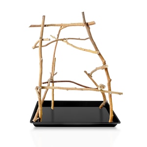 Natural Parrot Stand Bird Perches, Parrot Perches, Parrot Playstand, Natural Bird Tree, Bird Perches for Parrots