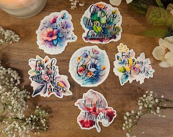 Sass Sticker Set: Funny Swear Quote Vinyl Decals
