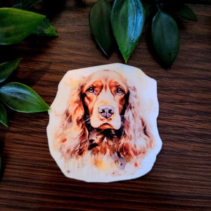 Puede incluir: Pintura acuarela de un perro marrón y blanco con pelo largo y fluido. El perro mira directamente al espectador con una expresión suave.