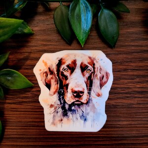 Puede incluir: Pintura acuarela de un perro Braco Alemán de Pelo Corto marrón y blanco con una expresión suave y gentil. El pelaje del perro está pintado en tonos de marrón, blanco y negro, con salpicaduras de acuarela naranja y amarilla.