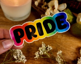 Naklejka winylowa z flagą Rainbow Pride Progress