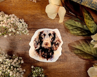 Boykin Spaniel Sticker: Bird Hunting Dog Vinyl Decal