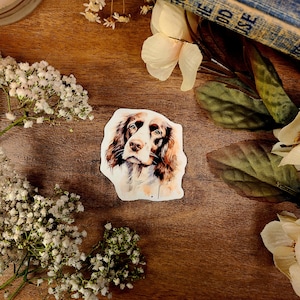 Perro Springer Spaniel, perro con velcro, bebé peludo, calcomanía de vinilo