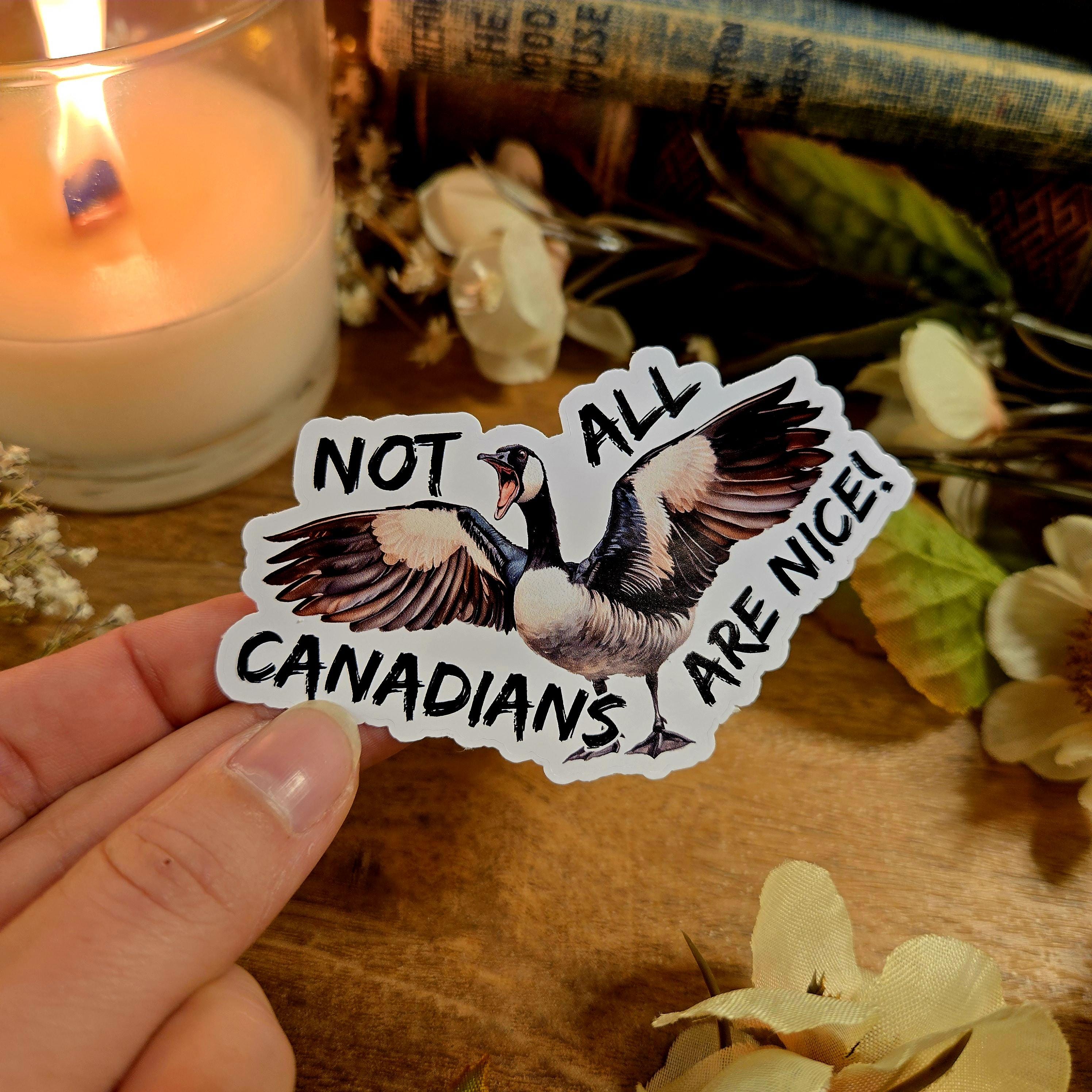 Autocollant En Vinyle Pour Une Seule Lumière Motif Drapeau