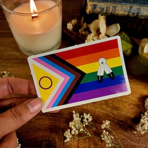 May include: A sticker featuring the Indigenous Pride flag, a variation of the rainbow pride flag with a black and brown stripe added to represent Indigenous people. The flag also includes a yellow triangle with a purple circle and two white feathers.