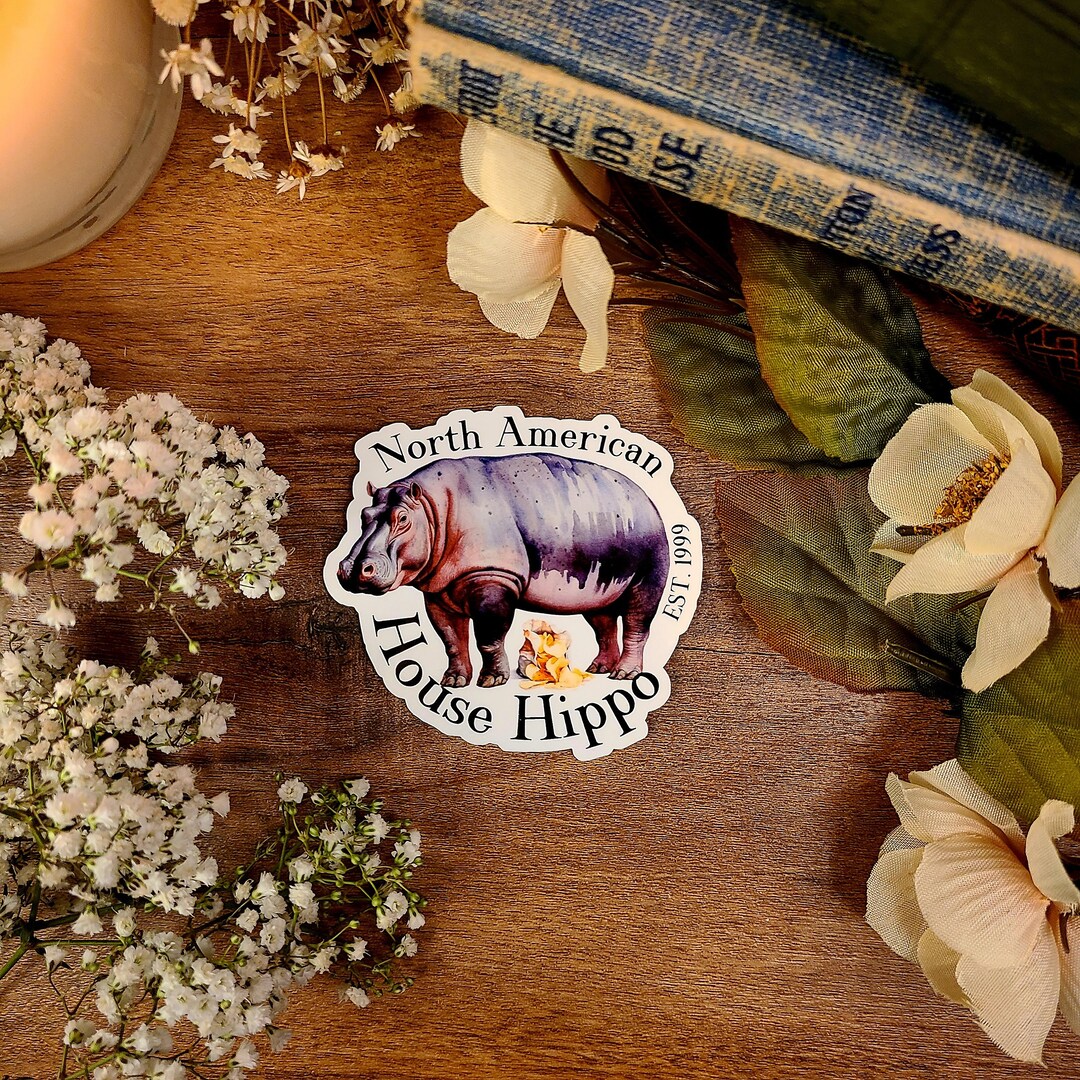 North American House Hippo, Canadian Commercial, Nastalga, Hippopotamus