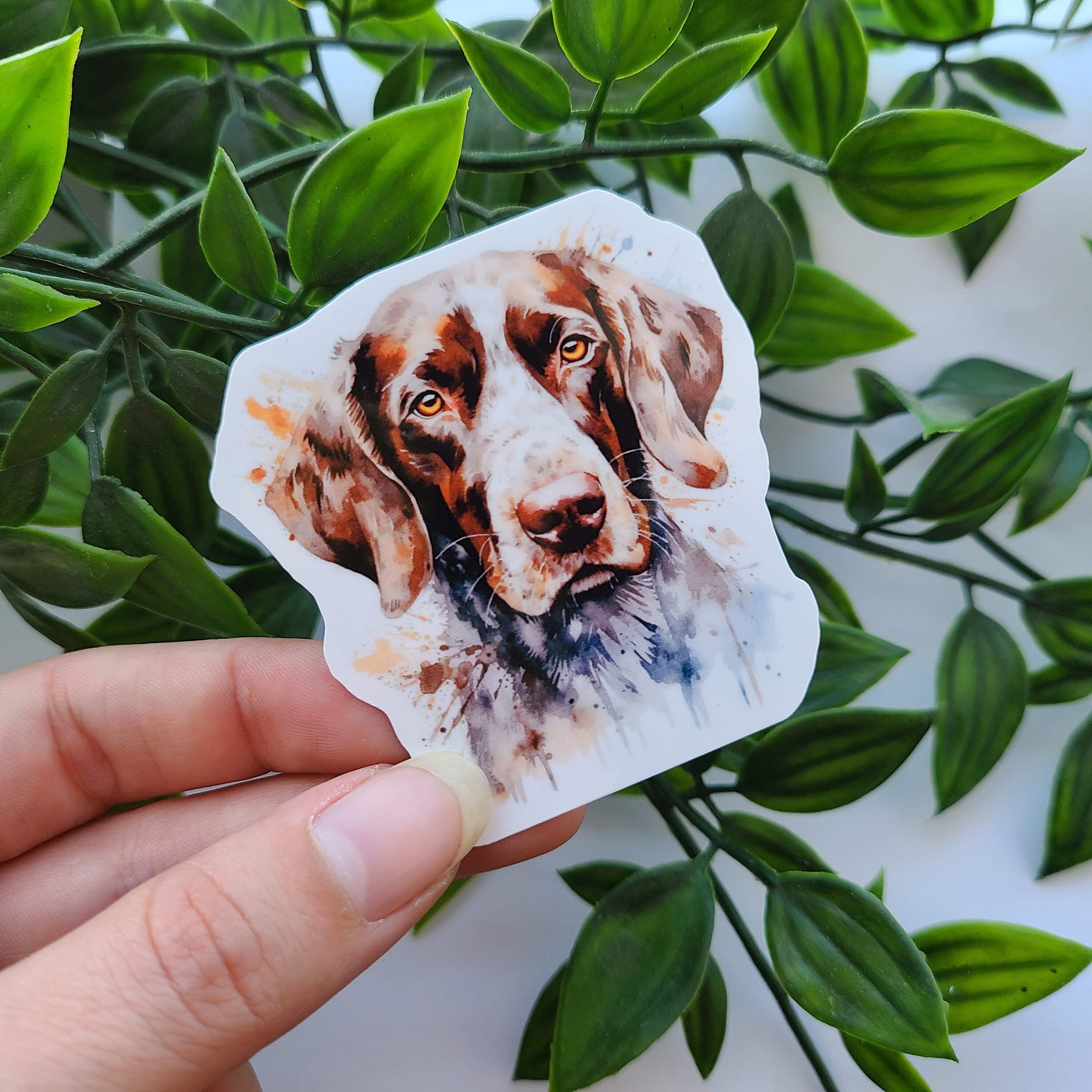 German Shorthaired Pointer Sticker: Watercolor Dog Decal - Etsy