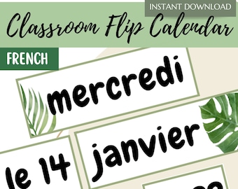 Plants Classroom French Flip Calendar - Tropical Leaves - Classroom Decor and Display - Pocket Calendar - Botanical