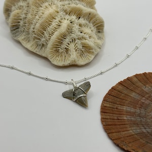 One of a kind Shark Tooth hand-wrapped on a Silver dot link Chain Necklace | Beach Bum Supply Co