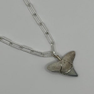 One of a kind Shark Tooth hand-wrapped on a Silver oval link Chain Necklace | Beach Bum Supply Co