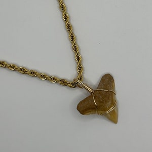 One of a Kind Shark Tooth hand-wrapped on Gold Twist Rope Chain Necklace | Beach Bum Supply Co