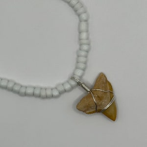 One of a kind Shark Tooth hand-wrapped silver on a white Beaded Necklace