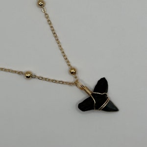 One of a kind Shark Tooth hand-wrapped on Gold dot chain Necklace | Beach Bum Supply Co