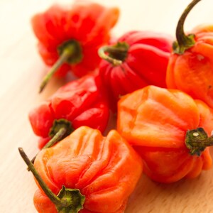 Organic Habanero Pepper Seeds: Hot & Spicy Capsicum Chinense