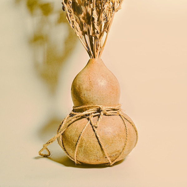 Bird House Bottle Gourd Seeds - Open Pollinated seeds - Birdhouse Gourd seeds - Birdhouse Bottle