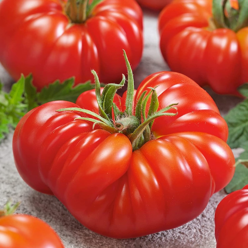 May include: Close-up of several large, red, heirloom tomatoes with a ribbed texture. The tomatoes are arranged on a gray surface.