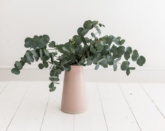 Silver Dollar Eucalyptus Seeds - Non GMO Flower Seeds