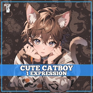 Male PNGTuber, Cute Catboy, Veadotube, PNG Tuber, Streaming, Twitch, Discord Reactive, YouTube Vtuber, Giftuber, Adopt Me Premade Model