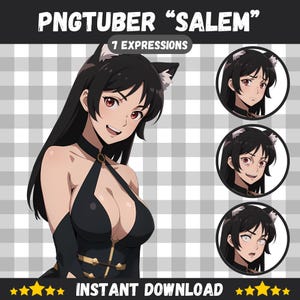 Cute PNGTuber Girl, Catgirl, Veadotube, PNG Tuber, Streaming, Twitch, Discord Reactive, YouTube Vtuber, Giftuber, Adopt Me Premade Model