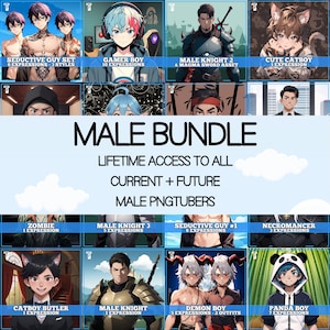 Peut inclure: Une illustration numérique d'un pack masculin comprenant divers personnages, dont un garçon gamer, un chevalier, un catboy, un zombie, un démon et un panda. Le pack comprend un accès à vie à tous les PNGtubers masculins actuels et futurs.