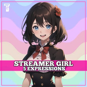 Cute PNGTuber Girl, Streamer, Veadotube, PNG Tuber, Streaming, Twitch, Discord Reactive, YouTube Vtuber, Giftuber, Adopt Me Premade Model