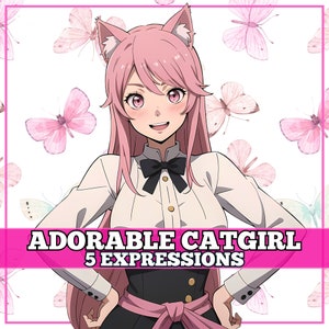 Cute PNGTuber Girl, Catgirl, Veadotube, PNG Tuber, Streaming, Twitch, Discord Reactive, YouTube Vtuber, Giftuber, Adopt Me Premade Model