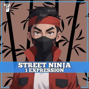 Male PNGTuber, Street Ninja, Veadotube, PNG Tuber, Streaming, Twitch, Discord Reactive, YouTube Vtuber, Giftuber, Adopt Me Premade Model
