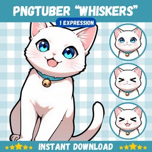 Man PNGTuber, Whiskers Cat, Veadotube, PNG Tuber, Streaming, Twitch, Discord Reactive, YouTube Vtuber, Giftuber, Adopt Me kant-en-klaar model