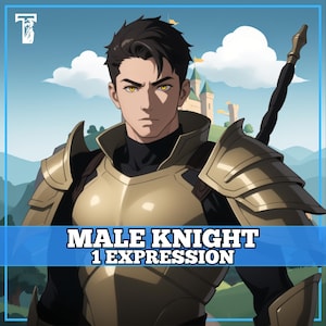 Male PNGTuber, Knight, Veadotube, PNG Tuber, Streaming, Twitch, Discord Reactive, YouTube Vtuber, Giftuber, Adopt Me Premade Model