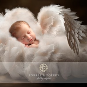 Newborn angel wings, 5 digital backgrounds, newborn overlays