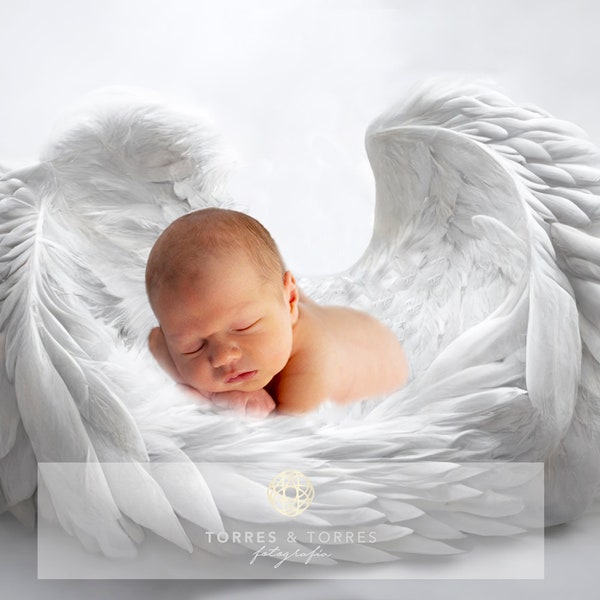 Newborn angel wings, digital backgrounds, newborn overlays