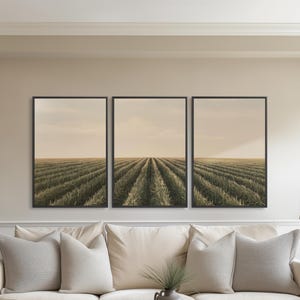 May include: Three framed landscape prints depicting a field of crops under a muted sky. The prints are displayed above a cream-colored sofa with decorative pillows. The room is decorated with neutral tones and includes lamps and a coffee table.