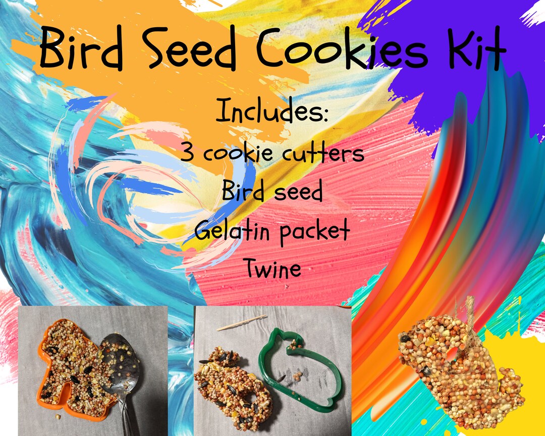 Bird Seed Cookies Easy Kid Craft Kit Summer Fun Kid Craft Etsy