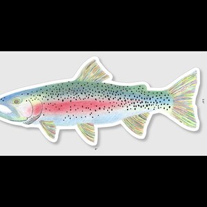 Rainbow Trout Sticker