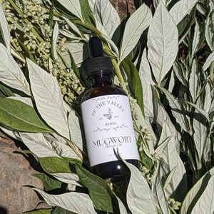 Mugwort Tincture, Made with Fresh Wildcrafted California Mugwort, Artemisia douglasiana Tincture, Wildcrafted Herbal Extract