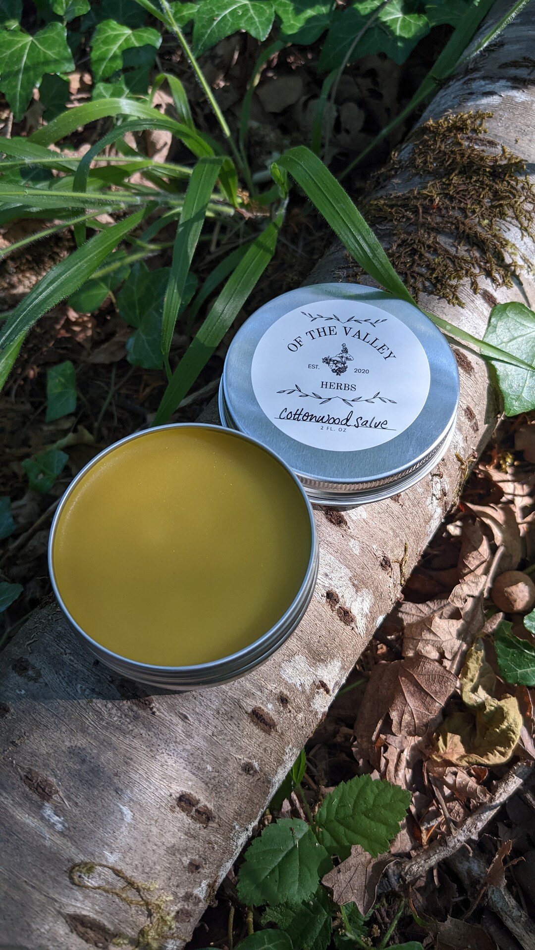 Cottonwood Bud Salve, Balm of Gilead, Handmade With Ethically