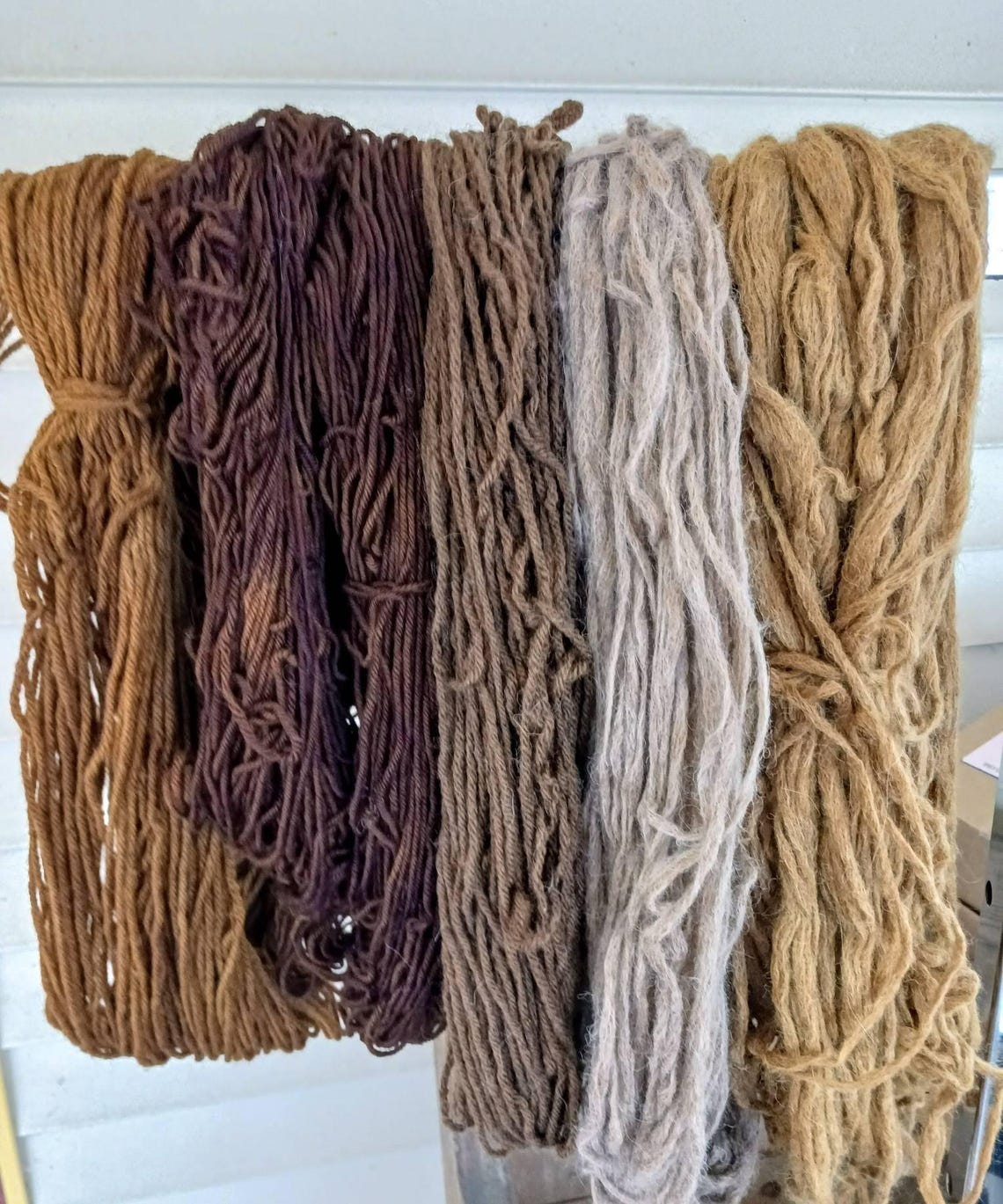 Dyeball Mushroom (pisolithus Arhizus) for Natural Dyeing // Dyes ...