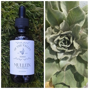 Mullein Tincture (Verbascum thapsus), Organic Mullein Leaf Tincture, Handcrafted Herbal Extract