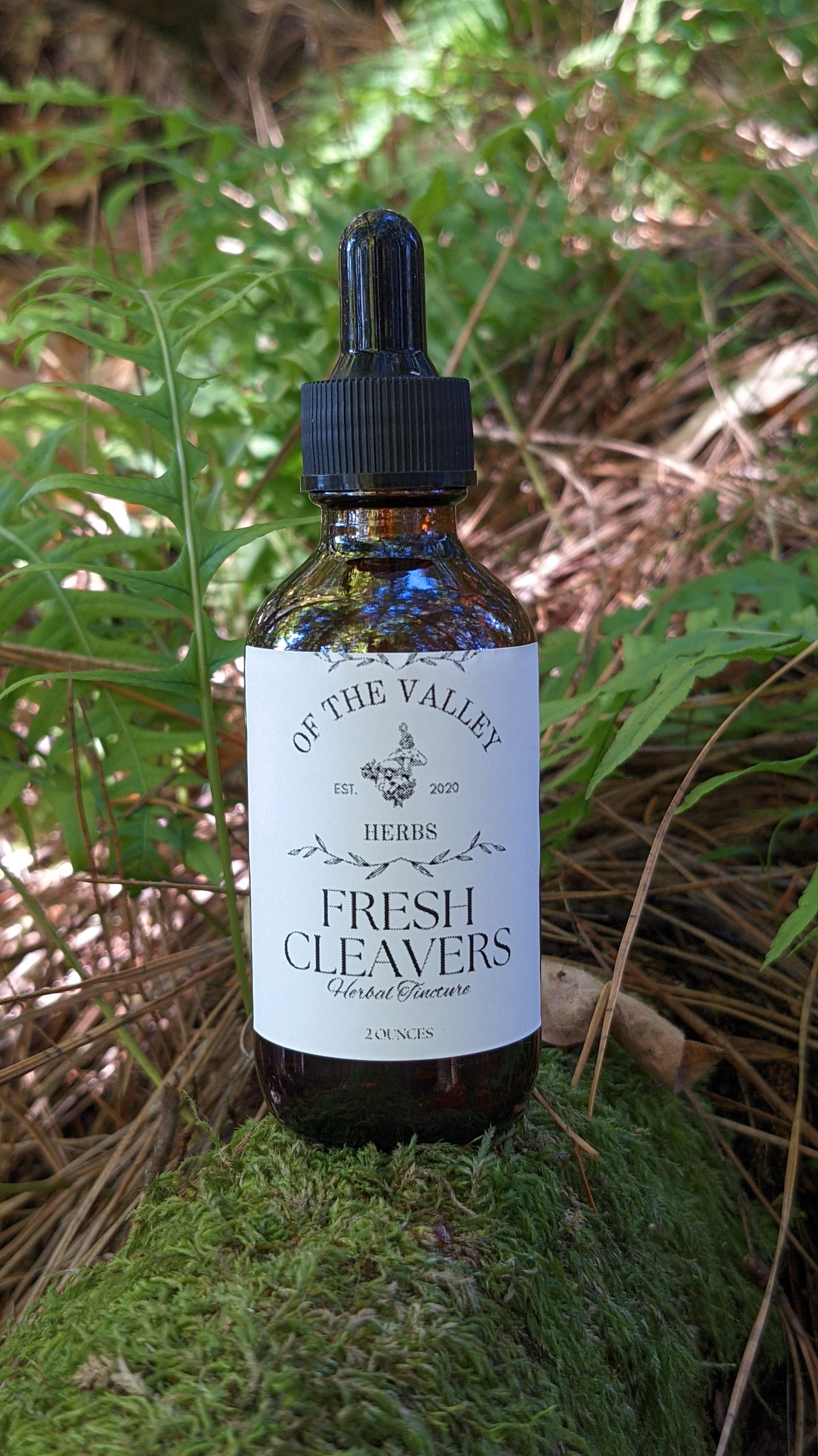 Cleavers Tincture Made With Fresh Wildcrafted Cleavers, Galium Aparine