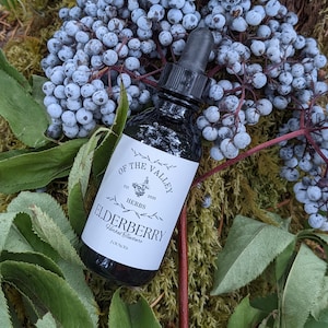 Wildcrafted Elderberry Tincture, Sambucus nigra Tincture, Handcrafted Herbal Extract