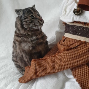 May include: A brown and gray tabby cat sits on a brown and white fabric, looking up at a doll with a white dress and brown skirt. The doll has a white pearl necklace and a brown leather belt.