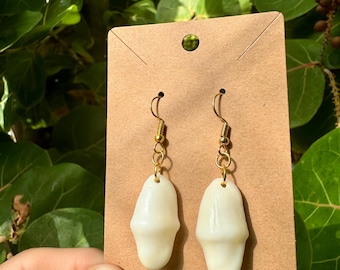 Seashell Earrings | Gold Flamingo Tongue Shells